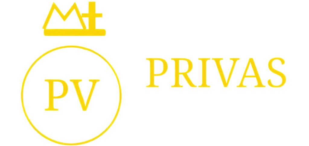 Cropped Transparent Logo Scaled 1 1024x487