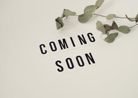 Eucalyptus branch with 